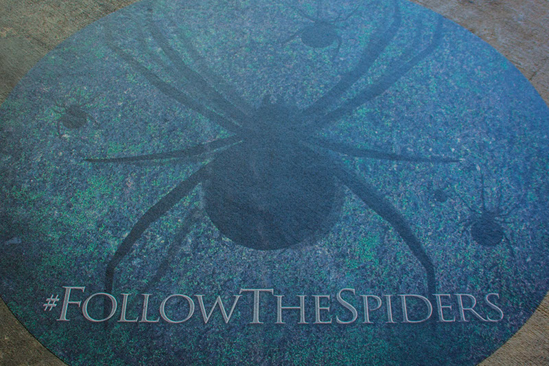Harry Potter Follow The Spiders